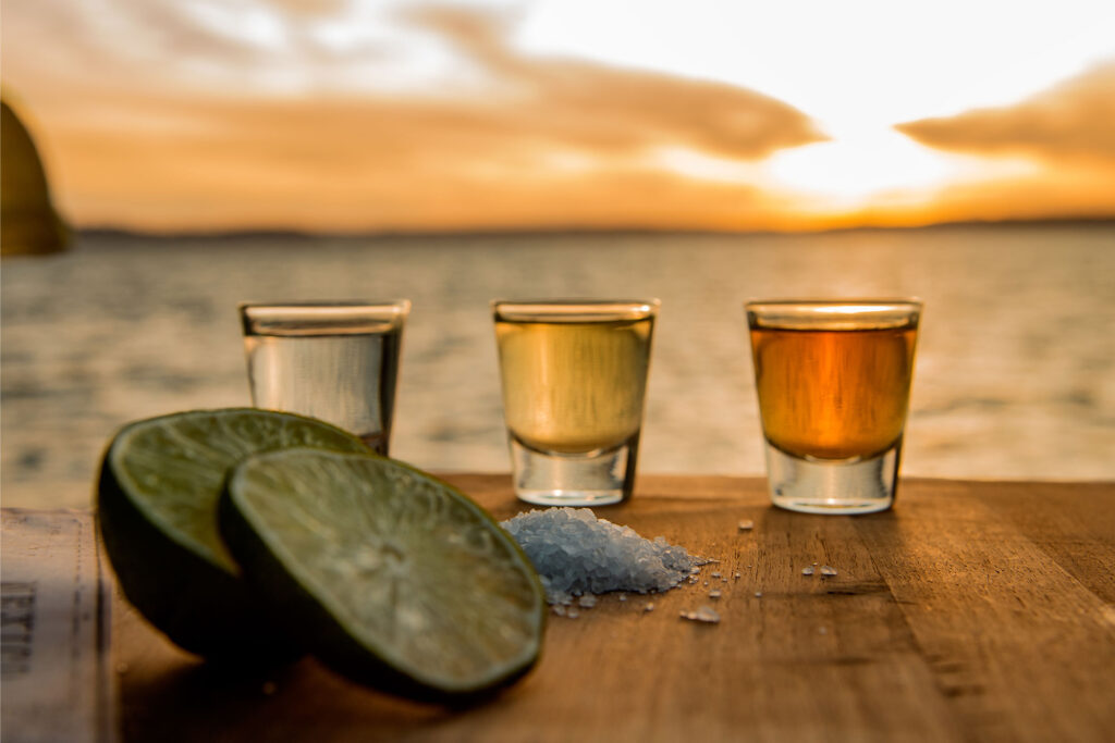 Tipos de tequila y características | Casa Don Ramón