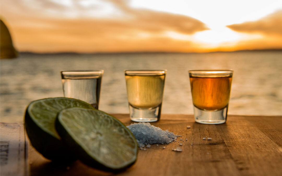 Tipos de tequila y características | Casa Don Ramón