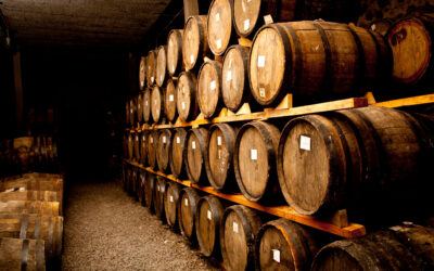 El secreto de la maduración: cómo las barricas definen el carácter del tequila