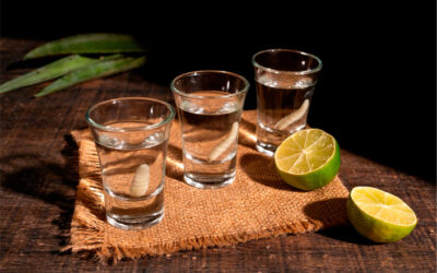 Diferentes Tipos de Mezcal y Cómo Disfrutarlos | Casa Don Ramón
