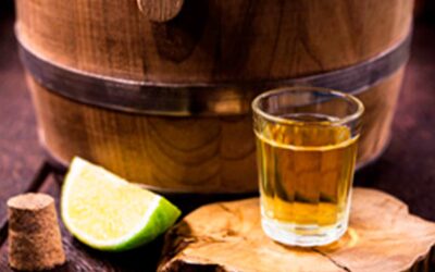 Cómo Elegir el Mejor Tequila de Casa Don Ramón Según tu Gusto