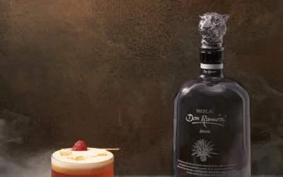 Receta de cóctel Frambuesa Coctel con Casa Don Ramón