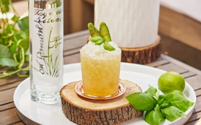 Receta de cóctel Margarita De Pepino Salado con Casa Don Ramón