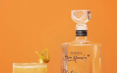 Receta de cóctel Naranja Sanacion con Casa Don Ramón