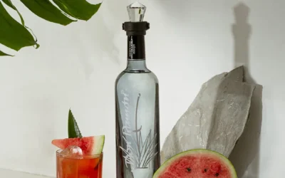 Cucumber Watermelon Cocktail Recipe Cocktail with Casa Don Ramón