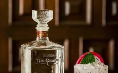 Receta de cóctel Pitaya Coctel con Casa Don Ramón