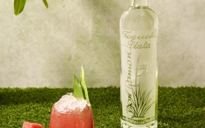Receta de cóctel Sandia Coctel con Casa Don Ramón