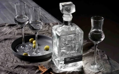 El Agave en la Cultura Mexicana: Un Legado que Perdura