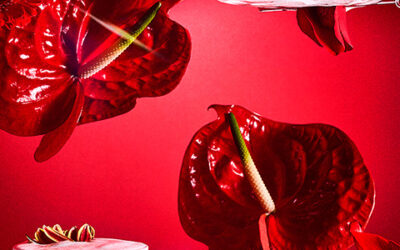 Receta de Nube rosa con Casa Don Ramón