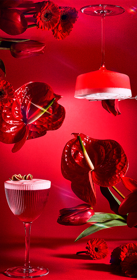 Mixología Casa Don Ramón