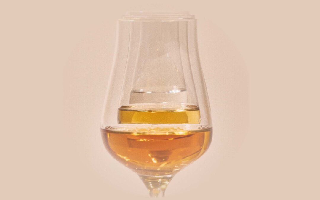 Tipos de tequila: diferencias entre plata, reposado, añejo y extra añejo