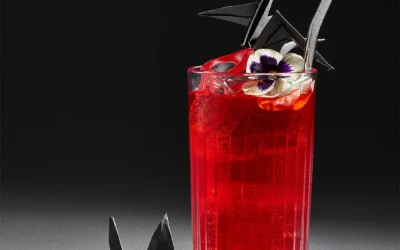 Receta de cóctel japón con Casa Don Ramón