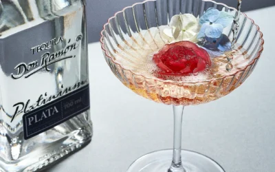 Receta de cóctel Francia con Casa Don Ramón