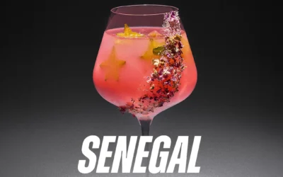 Receta de cóctel Senegal con Casa Don Ramón