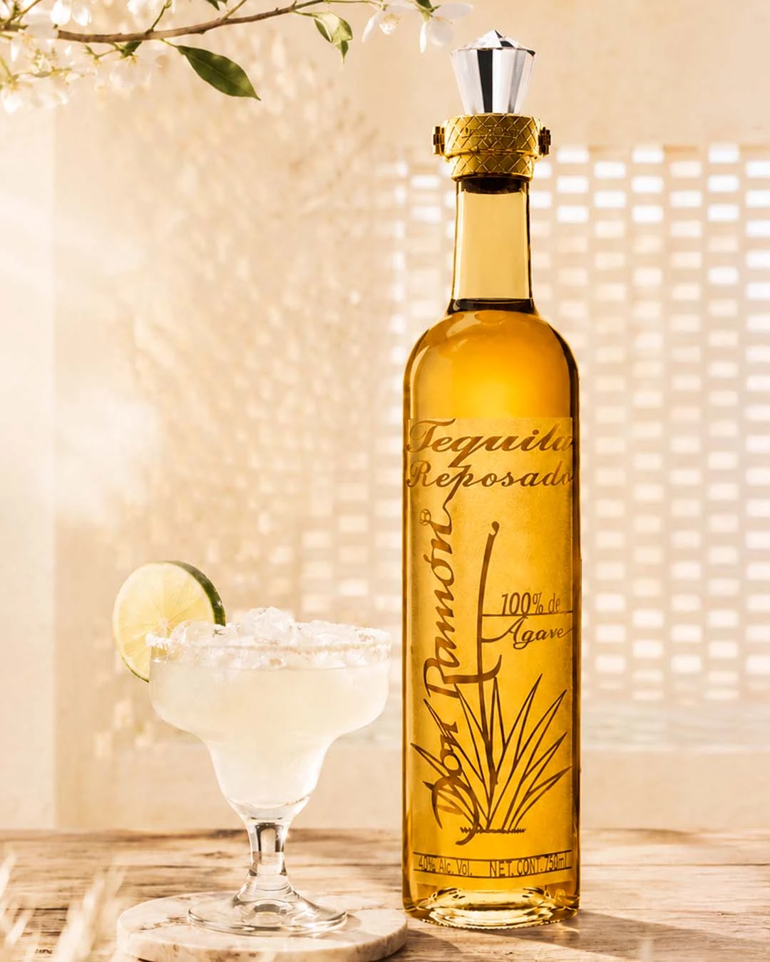 Classic agave Margarita with Casa Don Ramón Ceramic tequila and a salt rim