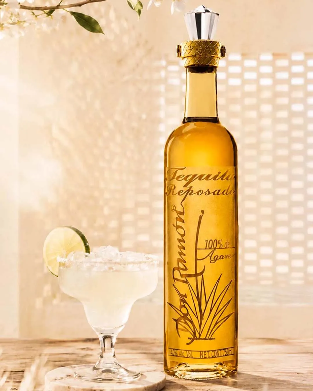 Classic agave Margarita with Casa Don Ramón Ceramic tequila and a salt rim